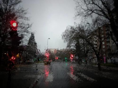 borjatrivifoto-proyecto365-2